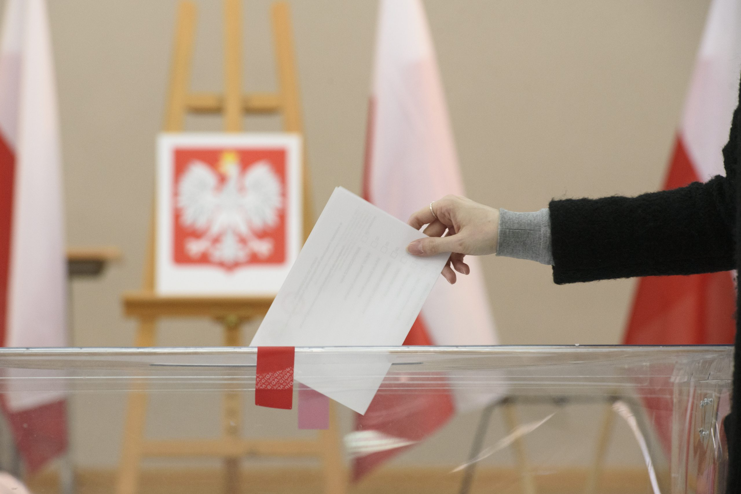 Wybory uzupełniające samorządowe